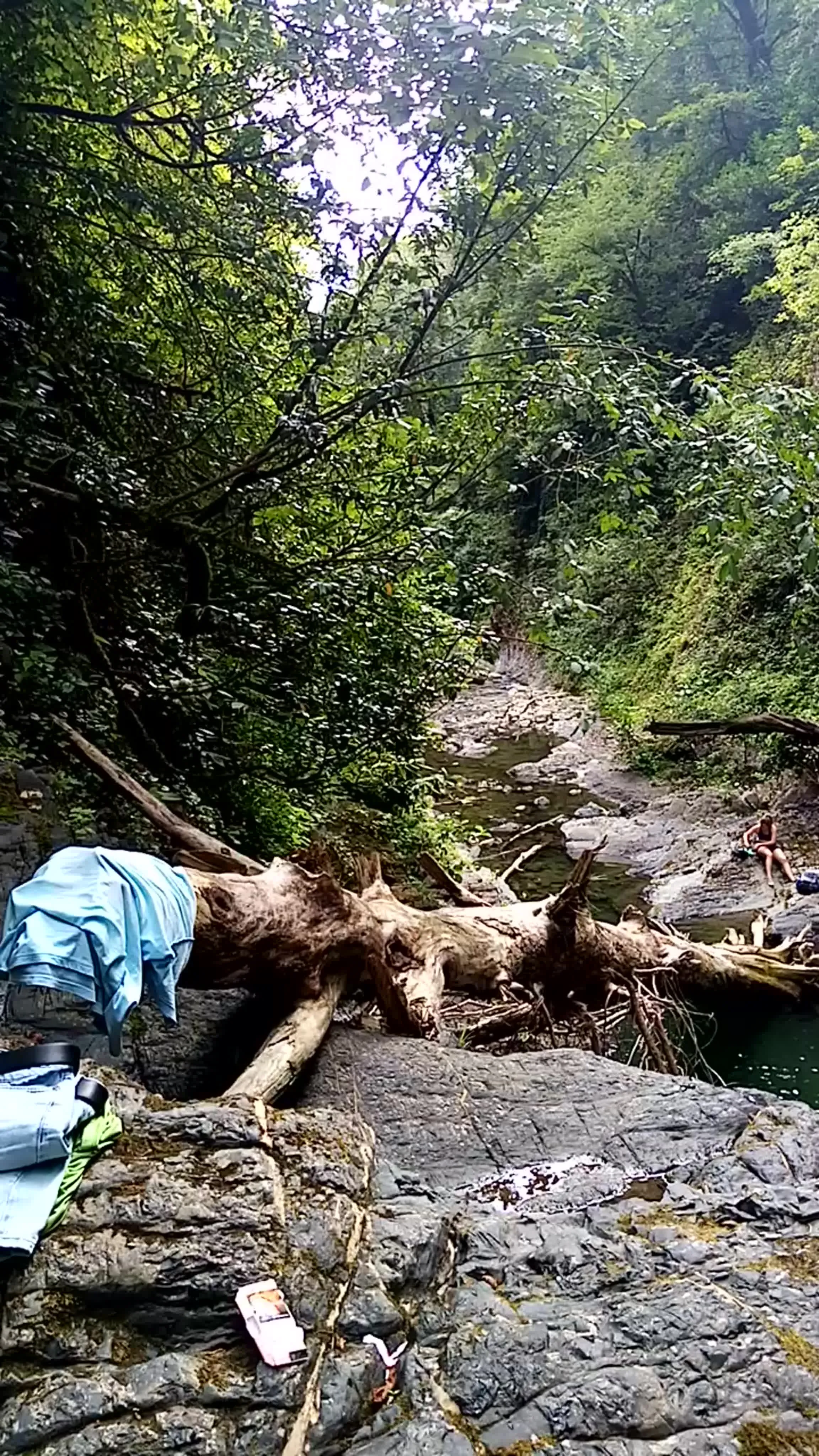 Разовый урок или долгий курс: что купить